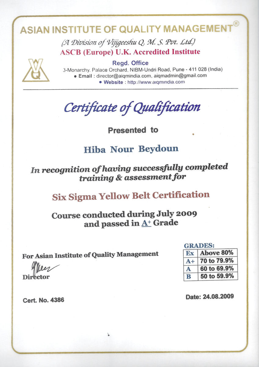 Six Sigma Yellow Belt